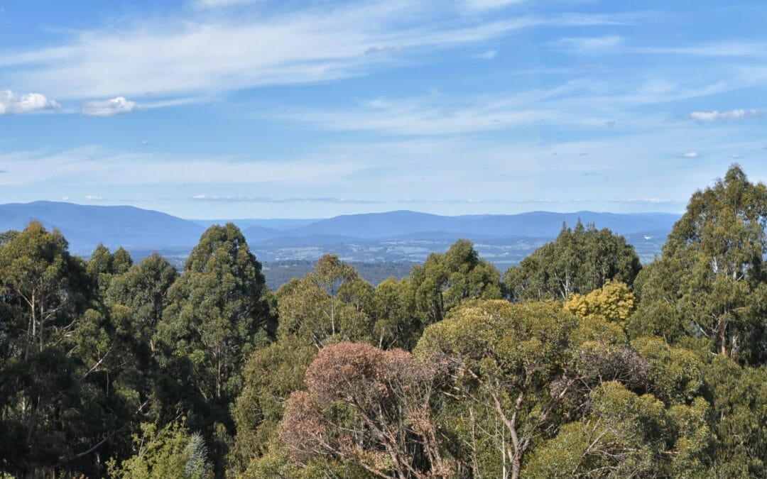 How To Build A Home That Capitalises On Your Surrounds