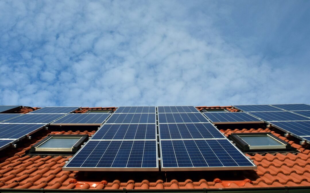Thinking About Building Green? It’s Easier Than You Might Think