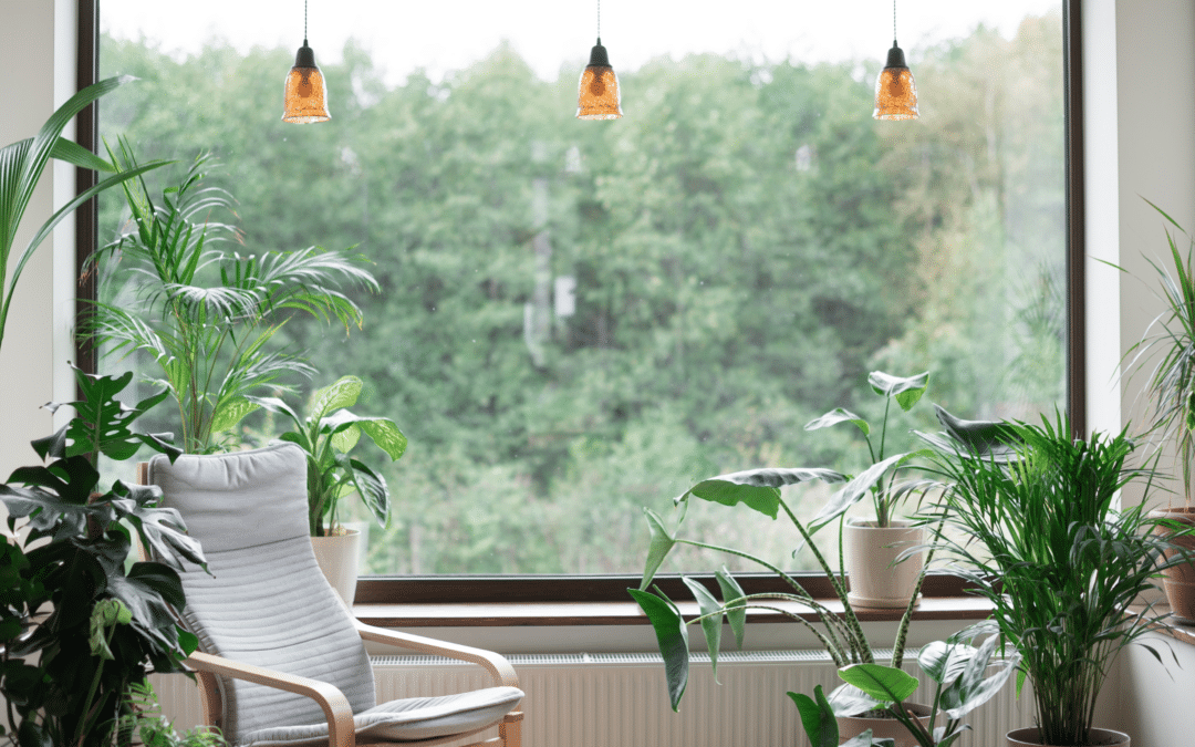Australia’s sustainable living advances with passive house design’s proven history.
