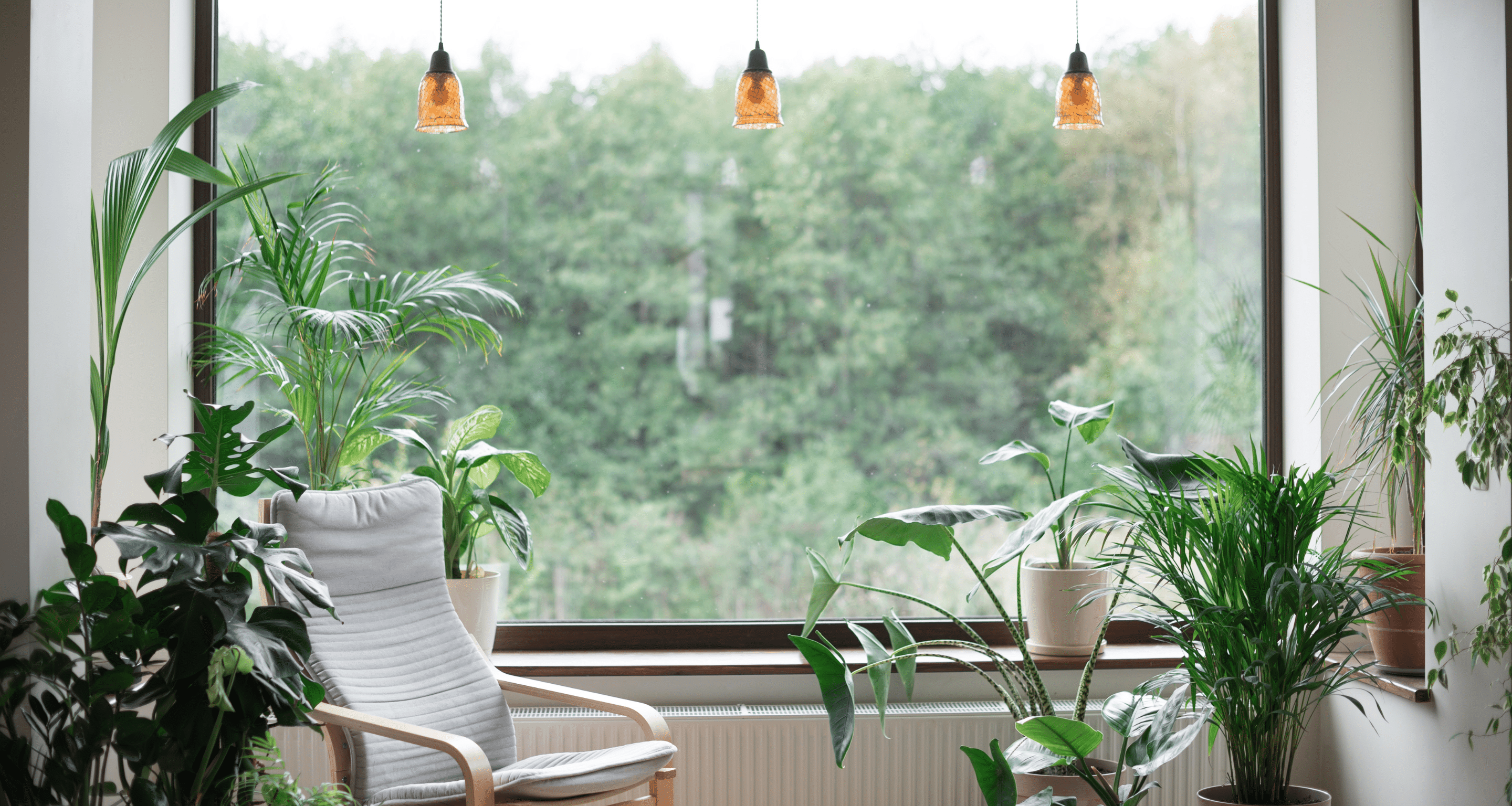 How Australia is pioneering Sustainable Living