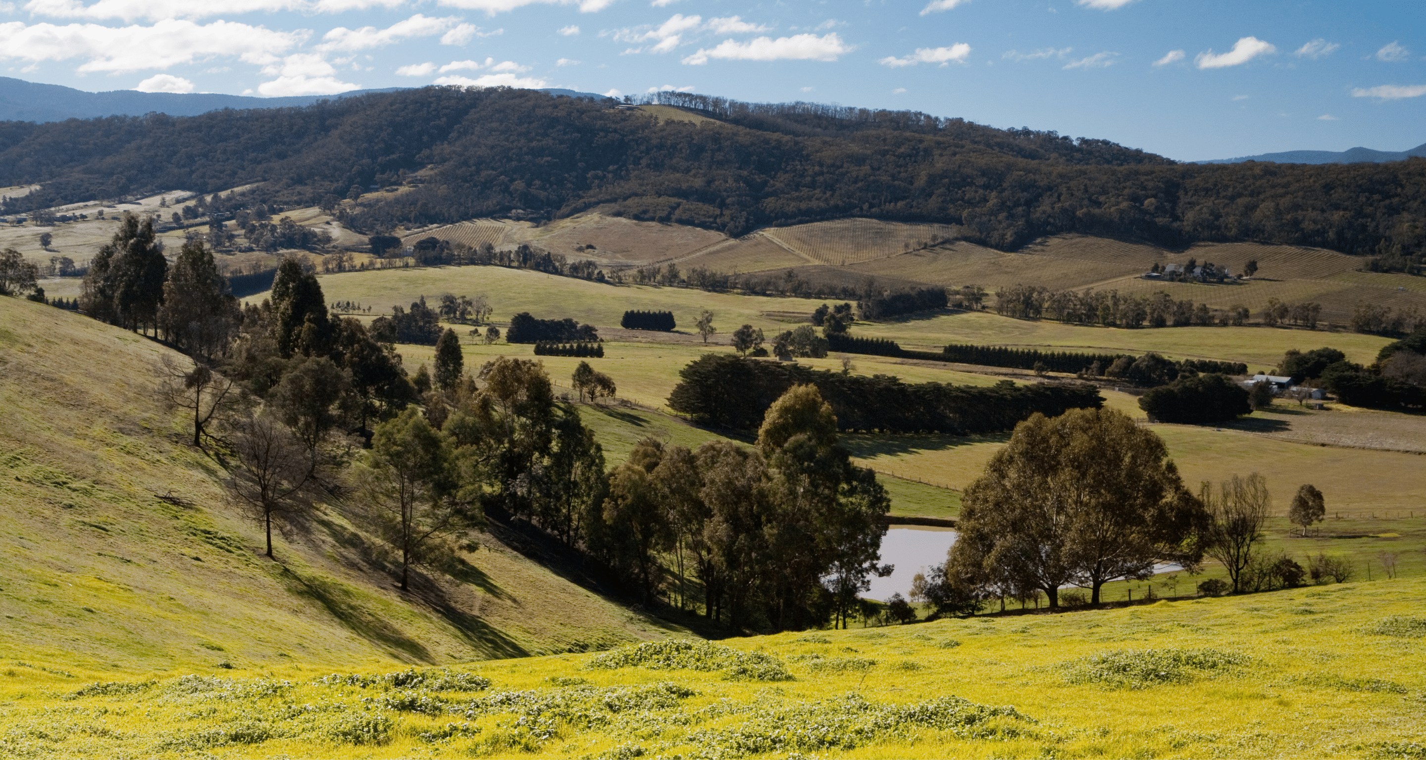 Yarra Valley